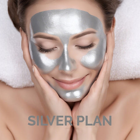 SILVER PLAN